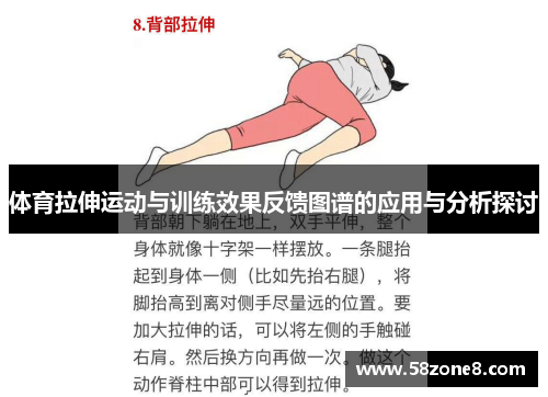 体育拉伸运动与训练效果反馈图谱的应用与分析探讨